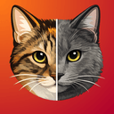 Duo app icon